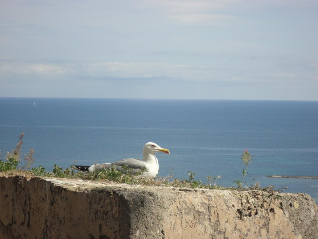 Apartamento Retiro Denia Luaran gambar